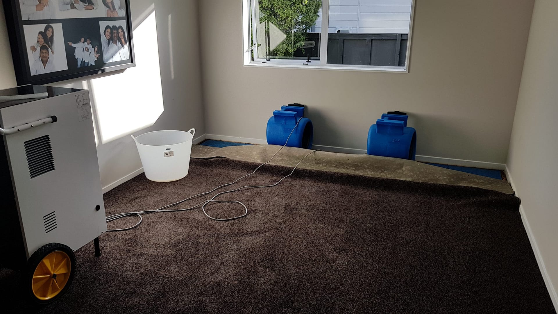 Photo inspiration: Fresh Look at Water Damage Flood Restoration And Carpet Drying Service