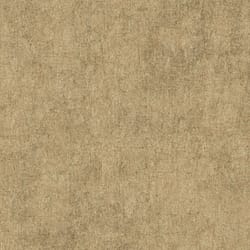 carpet cleaner auckland