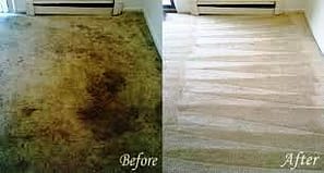 carpet spot removal