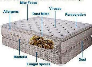 mattress cleaning service