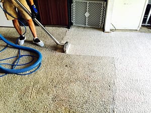 carpet cleaning