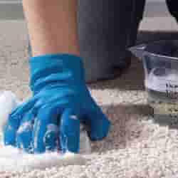 Cleaning carpet stain Auckland