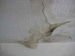 wet carpet issues wet carpet issues