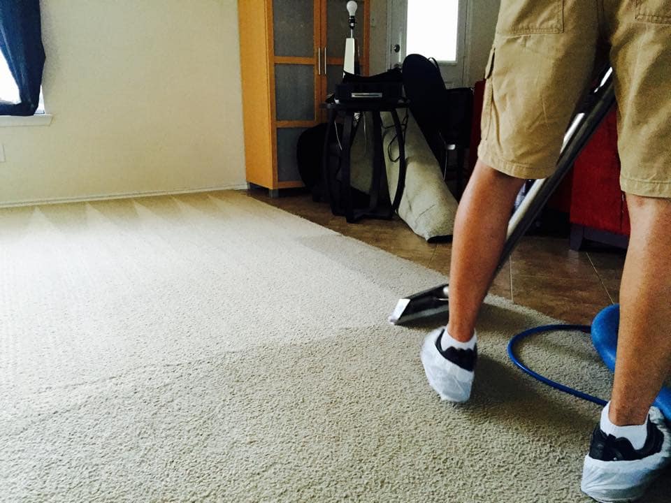 Carpet Cleaners Guide And Tips From Steam n Dry Professionals