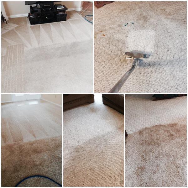Carpet Cleaner Methods and Types CarpetCleaner.co.nz