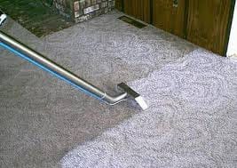 carpet cleaner Auckland